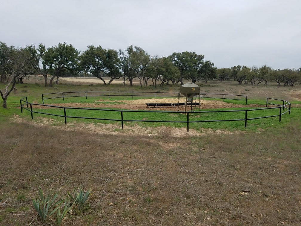 Cattle and livestock pens built by Frank Valdez Fencing in Central Texas