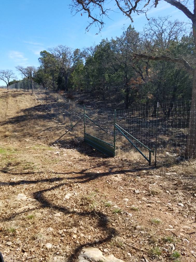 Green deer fence on rocky hillside installed by Frank Valdez Fencing near Comanche TX
